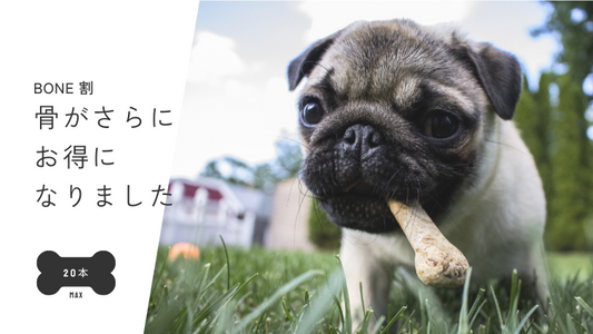 燻製骨がさらにお得になりました。