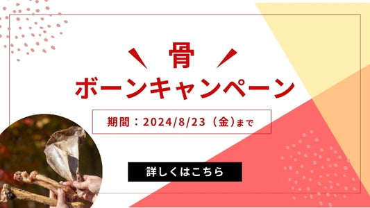 ボーンキャンペーン!~2024年8月23日(金)まで~