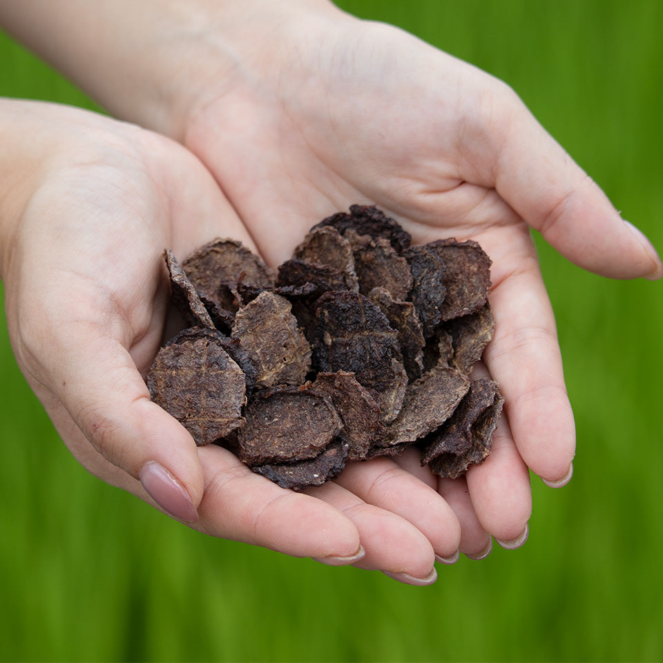 コインジャーキー (燻製)