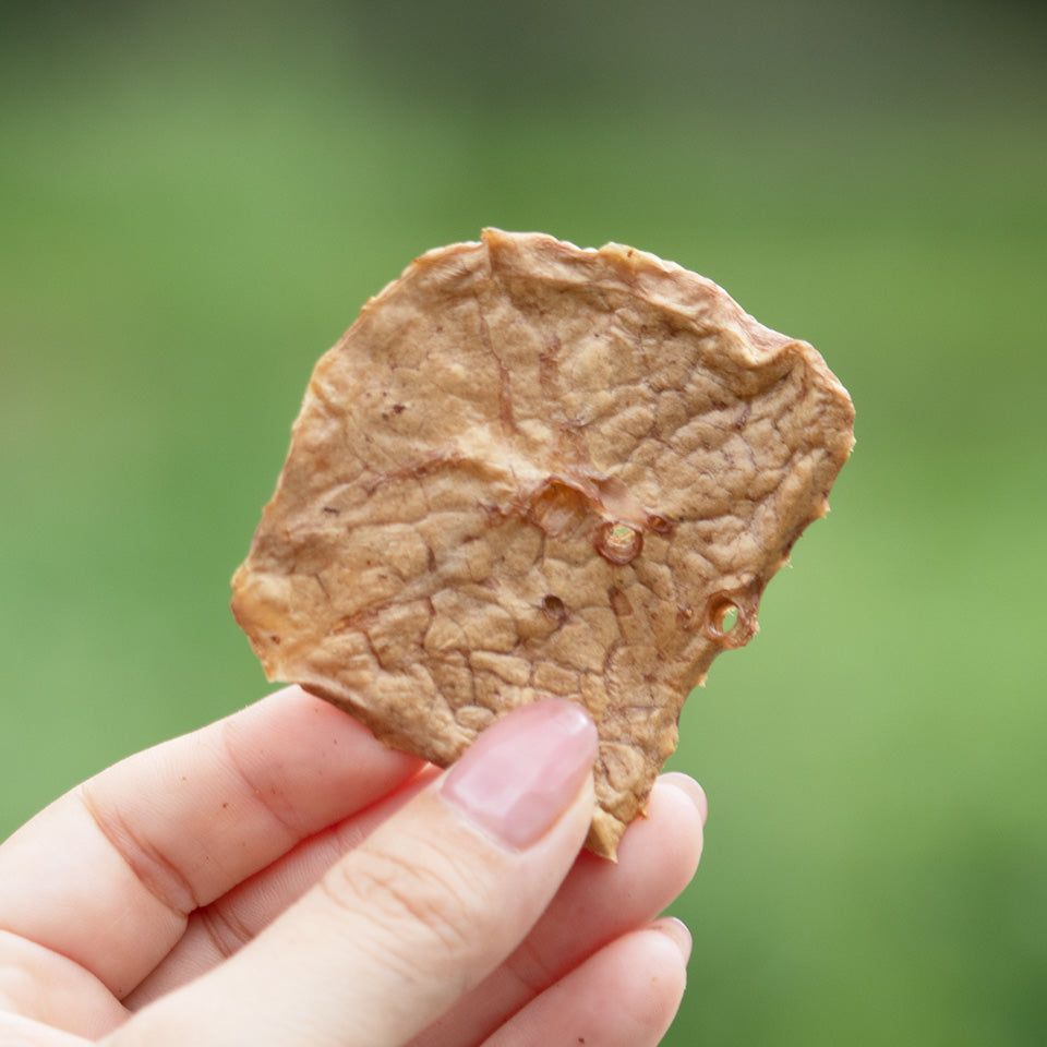 【肺/ラング】ジャーキー(燻製)