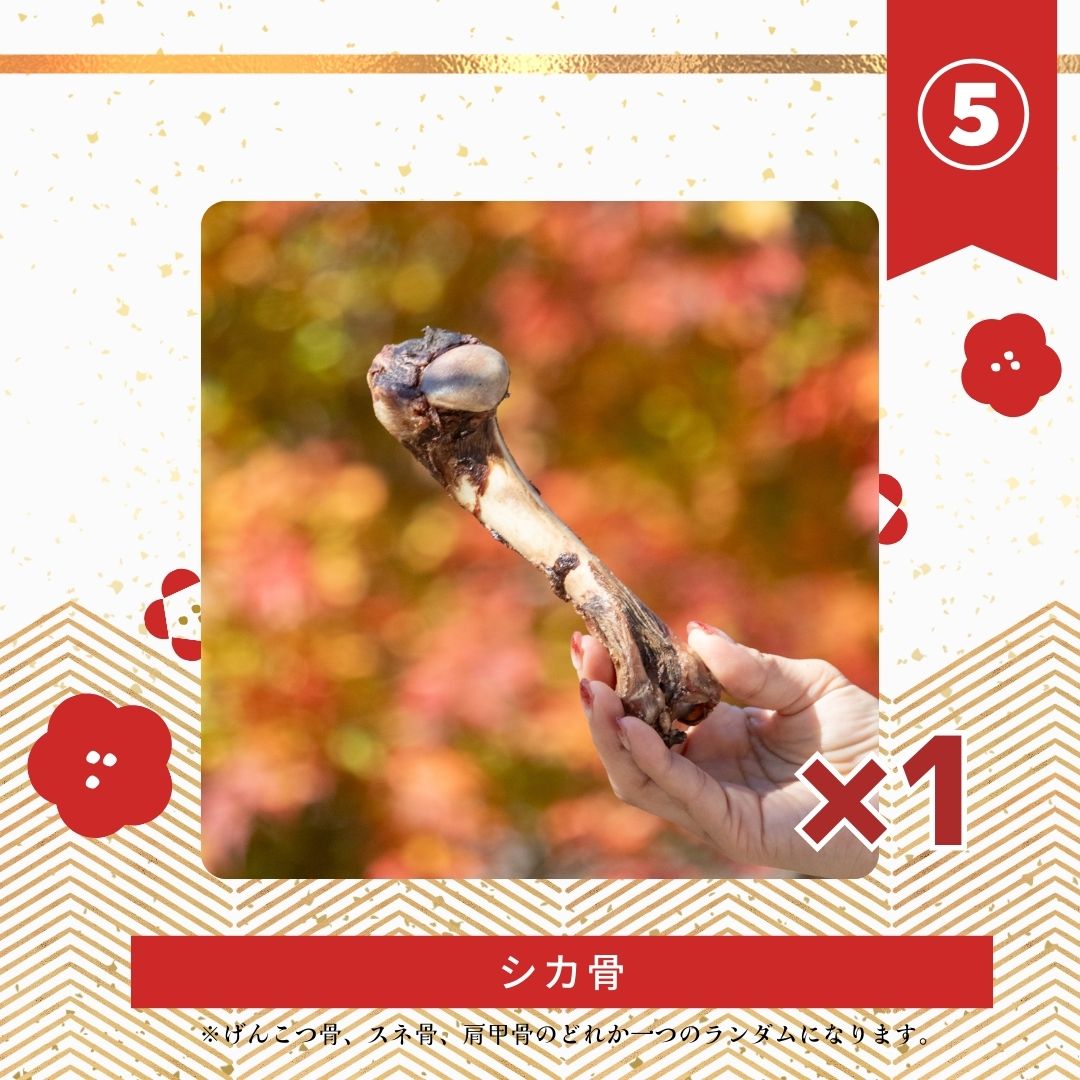 🎍2025年新春!特製福袋🎍