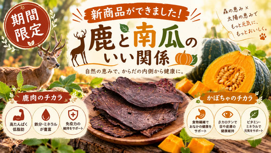 新商品ができました！鹿と南瓜のジャーキー