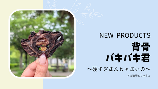 「背骨バキバキ君」登場しました！