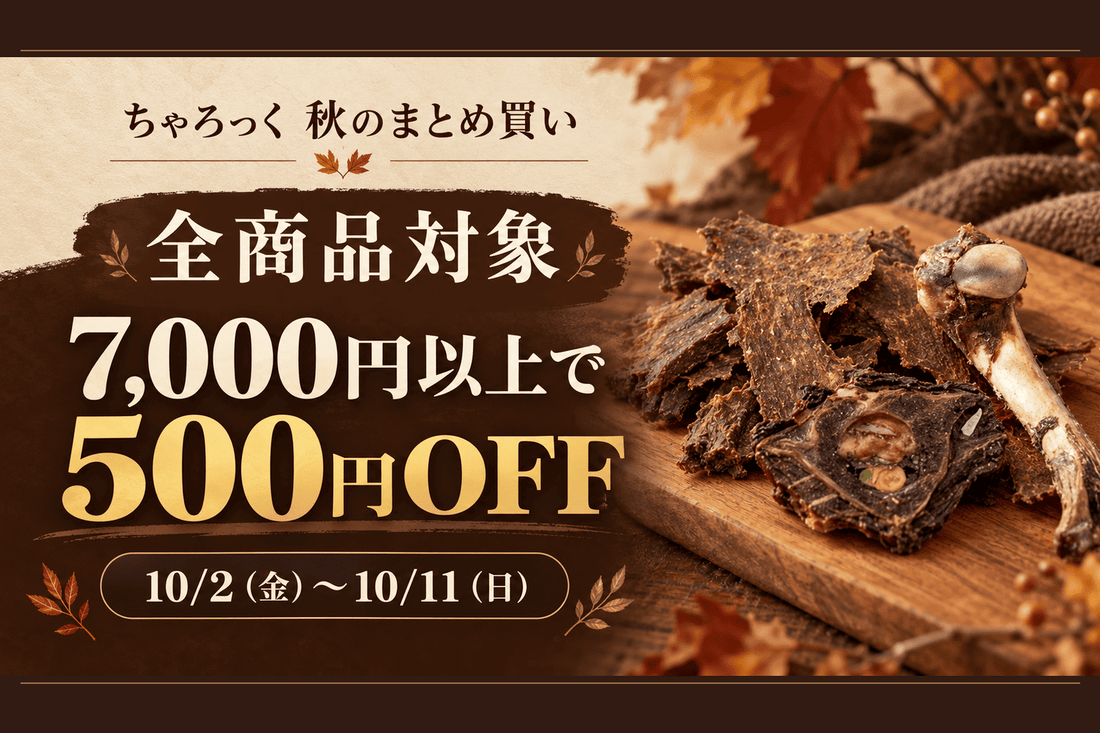 秋のおやつ、まとめ買いキャンペーン｜全商品対象・7,000円以上で500円OFF
